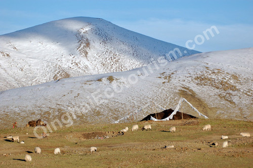 tent and mountains.jpg