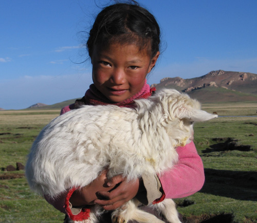 young girl and sheep