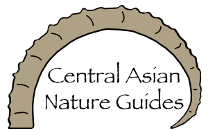 Central Asian Nature Guides_logo 2