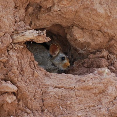 Photo by J Marc Foggin