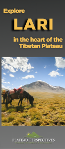Lari brochure