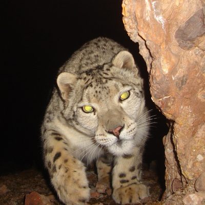 Photo by Marc Foggin